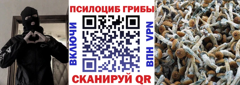 Галлюциногенные грибы Psilocybe  дарнет шоп  Анива 